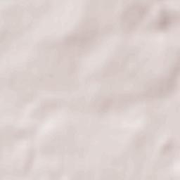 La Gouesnière Terrain Map