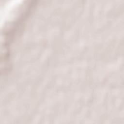 Niederhausbergen Terrain Map