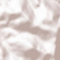 Sasbachwalden Terrain Map