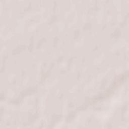 Storozhnytsya Terrain Map