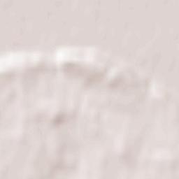 Roz-sur-Couesnon Terrain Map