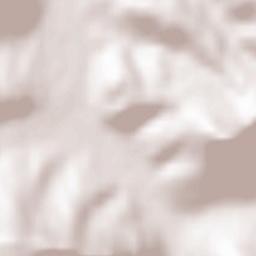 Neidlingen Terrain Map