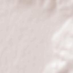 Uzhhorod Raion Terrain Map