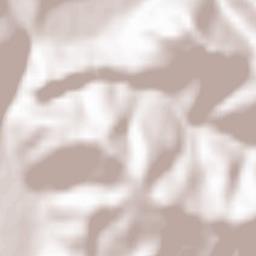 Mizhhirya Raion Terrain Map