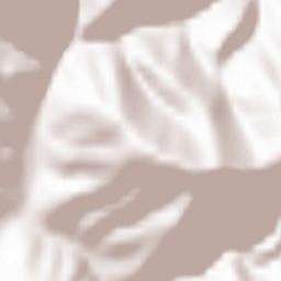 Synevyrska Poliana Terrain Map