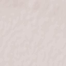 Kolomyys’kyy Rayon Terrain Map