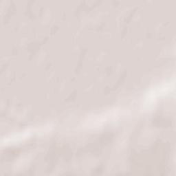 Dol-de-Bretagne Terrain Map