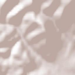 Oberhaslach Terrain Map