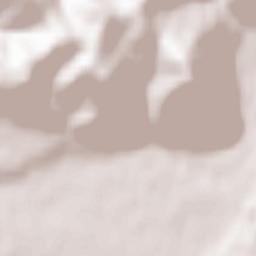 Svalyava Terrain Map