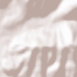 Nelipyno Terrain Map