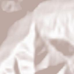 Pasichna Terrain Map