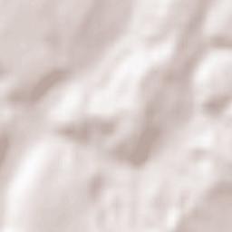 Longny-au-Perche Terrain Map