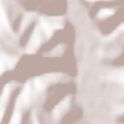 Mizhhirya Terrain Map