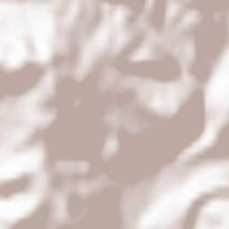 Lysychovo Terrain Map