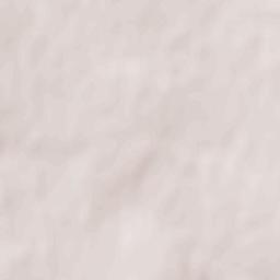 Novyy Starodub Terrain Map