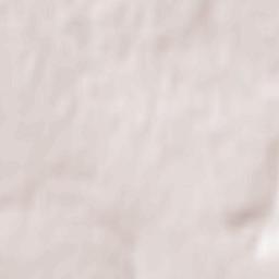 Kamianske Terrain Map