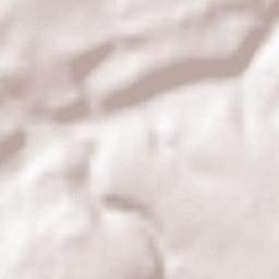 La Roche-Maurice Terrain Map