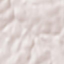 Fougerolles-du-Plessis Terrain Map