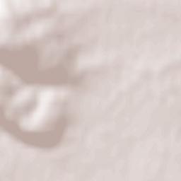 Bischoffsheim Terrain Map