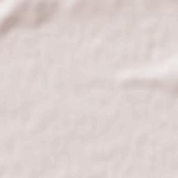 Rakoshyno Terrain Map