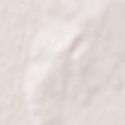 Knyaze-Volkonskoye Terrain Map