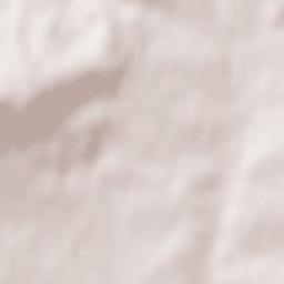 Saint-Denis-sur-Sarthon Terrain Map