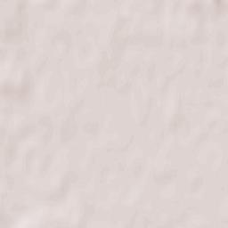 Schutterwald Terrain Map