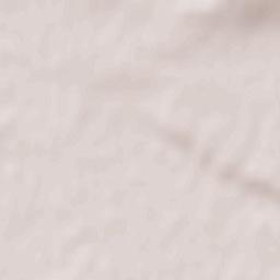 Grafenegg Terrain Map