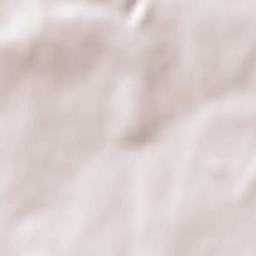 Bazouges-la-Pérouse Terrain Map