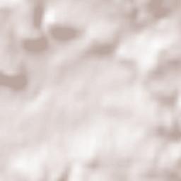 Münsingen Terrain Map