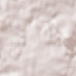 Neukirchen am Walde Terrain Map