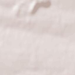 Dobropillia Raion Terrain Map