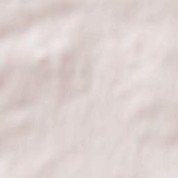 Plouzané Terrain Map