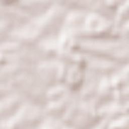 Hohenpolding Terrain Map