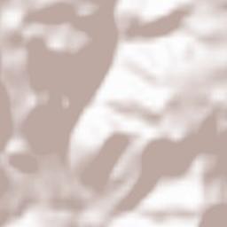 Mühldorf Terrain Map