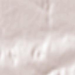 Tsybulevka Terrain Map