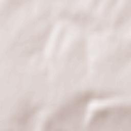 Sergines Terrain Map