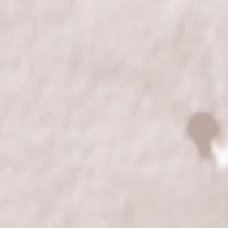 Zhovti Vody Terrain Map