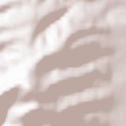 Dambach-la-Ville Terrain Map