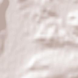 Allmendingen Terrain Map