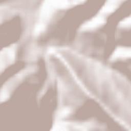 Yaremchans’ks Mis’krada Terrain Map