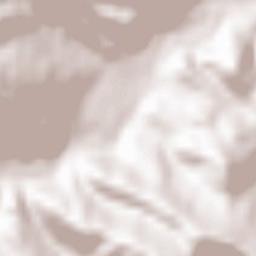 Sheshory Terrain Map