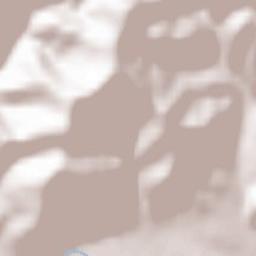 Fischerbach Terrain Map