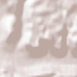 Burladingen Terrain Map