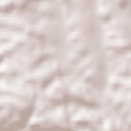 Pleiskirchen Terrain Map