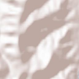 Schuttertal Terrain Map