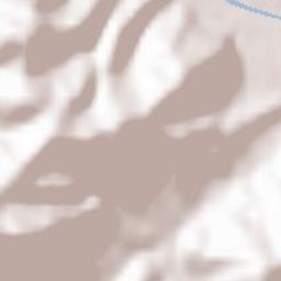 Hofstetten Terrain Map