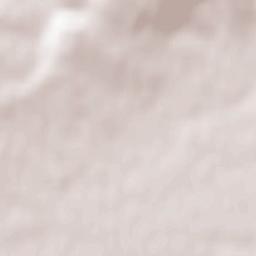 Pasching Terrain Map