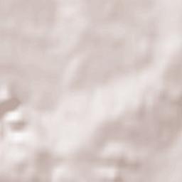 Ried in der Riedmark Terrain Map