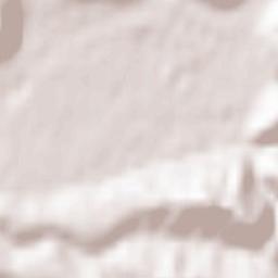 Horinchovo Terrain Map